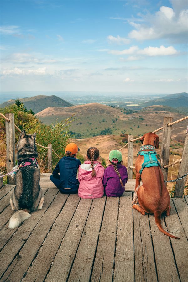 Foto von drei Kindern und zwei Hunden auf einem Holzsteg neben dem Entwurf als Filmszene (Foto)